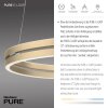 Paul-Neuhaus PURE E-LOOP Lampa Wisząca LED Złoty, 2-punktowe, Zdalne sterowanie