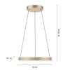 Paul-Neuhaus PURE E-LOOP Lampa Wisząca LED Złoty, 2-punktowe, Zdalne sterowanie