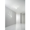 Lutec SHANGHAI Lampa Sufitowa LED Biały, 3-punktowe