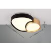 Trio RISE Lampa Sufitowa LED Czarno-złoty, 1-punktowy, Zdalne sterowanie