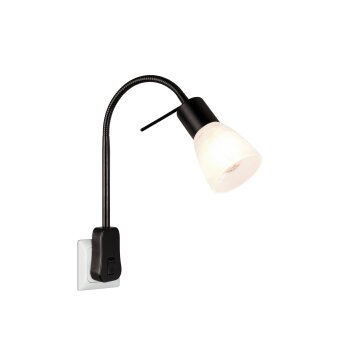 Trio LEVISTO Lampa Sufitowa LED Czarny, 1-punktowy