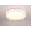 Reality CLUSTER Lampa Sufitowa LED Biały, 1-punktowy, Zdalne sterowanie
