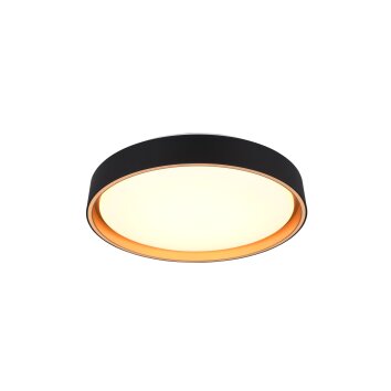Reality FELIS Lampa Sufitowa LED Czarno-złoty, 1-punktowy, Zdalne sterowanie