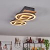 Taboneira Lampa Sufitowa LED Ecru, Czarny, 2-punktowe