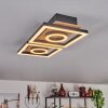 Taboneira Lampa Sufitowa LED Ecru, Czarny, 2-punktowe