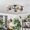 Chehalis Lampa Sufitowa - Szkło 15 cm złoty, czarny, 6-punktowe