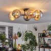 Chehalis Lampa Sufitowa - Szkło 15 cm złoty, czarny, 6-punktowe