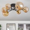 Chehalis Lampa Sufitowa - Szkło 10 cm, 12 cm, 15 cm Złoty, Czarny, 6-punktowe