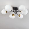 Chehalis Lampa Sufitowa - Szkło 12 cm, 15 cm Złoty, Czarny, 6-punktowe