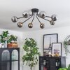 Chehalis Lampa Sufitowa - Szkło 10 cm Złoty, Czarny, 8-punktowe