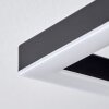 Taboneira Lampa Sufitowa LED Ciemnobrązowy, Czarny, 3-punktowe