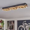 Taboneira Lampa Sufitowa LED Ecru, Czarny, 3-punktowe