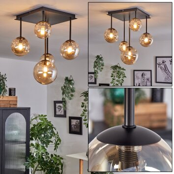 Chehalis Lampa Sufitowa - Szkło 10 cm, 12 cm, 15 cm W kolorze bursztynu, 5-punktowe Chehalis Lampa Sufitowa - Szkło 10 cm, 12 cm, 15 cm W kolorze bursztynu, 5-punktowe