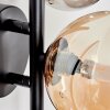 Chehalis Lampa ścienna - Szkło 10, 12 cm W kolorze bursztynu, Przydymiony, 3-punktowe