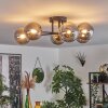 Chehalis Lampa Sufitowa - Szkło 12 cm Złoty, Czarny, 6-punktowe