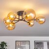 Chehalis Lampa Sufitowa - Szkło 10 cm, 12 cm, 15 cm Złoty, Czarny, 6-punktowe