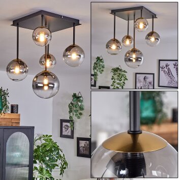 Chehalis Lampa Sufitowa - Szkło 10 cm, 12 cm, 15 cm Złoty, Czarny, 5-punktowe