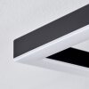Taboneira Lampa Sufitowa LED Ciemnobrązowy, Czarny, 2-punktowe