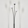 Bernado Lampa Stojąca - Szkło 10 cm Biały, 3-punktowe