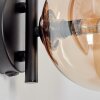 Chehalis Lampa ścienna - Szkło 15 cm W kolorze bursztynu, Przezroczysty, 1-punktowy