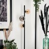Remaisnil Lampa Stojąca - Szkło 10 cm, 12 cm W kolorze bursztynu, Przydymiony, 3-punktowe
