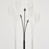 Bernado Lampa Stojąca - Szkło 15 cm Przezroczysty, 3-punktowe