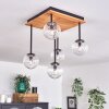 Chehalis Lampa Sufitowa - Szkło 10 cm Ecru, Czarny, 5-punktowe
