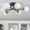 Chehalis Lampa Sufitowa - Szkło 10 cm Złoty, Czarny, 6-punktowe