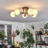 Chehalis Lampa Sufitowa - Szkło 10 cm Złoty, Czarny, 6-punktowe
