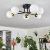 Chehalis Lampa Sufitowa - Szkło 10 cm Złoty, Czarny, 6-punktowe