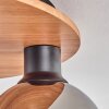 Koyoto Lampa Sufitowa - Szkło 15 cm kolory naturalne, czarny, 5-punktowe