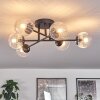 Chehalis Lampa Sufitowa - Szkło 10 cm Przezroczysty, 6-punktowe