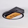 Cornol Lampa Sufitowa LED Ecru, Czarny, 1-punktowy