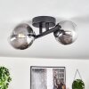 Chehalis Lampa Sufitowa - Szkło 10 cm, 12 cm czarny, 2-punktowe