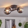 Chehalis Lampa Sufitowa - Szkło 10 cm, 12 cm czarny, 2-punktowe