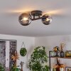 Chehalis Lampa Sufitowa - Szkło 10 cm, 12 cm czarny, 2-punktowe
