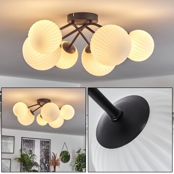 Chehalis Lampa Sufitowa - Szkło 12 cm, 15 cm Biały, 6-punktowe