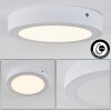 Leto Lampa Sufitowa zewnętrzna LED Biały, 1-punktowy