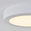 Leto Lampa Sufitowa zewnętrzna LED Biały, 1-punktowy