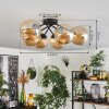 Chehalis Lampa Sufitowa - Szkło 15 cm W kolorze bursztynu, 6-punktowe