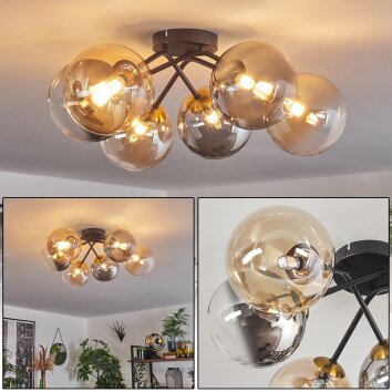 Chehalis Lampa Sufitowa - Szkło 15 cm Złoty, Czarny, 6-punktowe