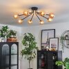Chehalis Lampa Sufitowa - Szkło 10 cm Złoty, Czarny, 8-punktowe