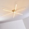 Tornio Lampa Sufitowa LED Nikiel matowy, 3-punktowe