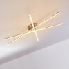 Tornio Lampa Sufitowa LED Nikiel matowy, 3-punktowe