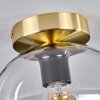 Apedo Lampa Sufitowa - Szkło 20 cm Złoty, Czarny, 1-punktowy