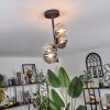 Chehalis Lampa Sufitowa - Szkło 12 cm bursztynowy, przezroczysty, przydymiony, 4-punktowe
