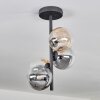 Chehalis Lampa Sufitowa - Szkło 12 cm bursztynowy, przezroczysty, przydymiony, 4-punktowe