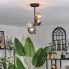 Chehalis Lampa Sufitowa - Szkło 12 cm bursztynowy, przezroczysty, przydymiony, 4-punktowe
