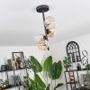 Chehalis Lampa Sufitowa - Szkło 10 cm, 12 cm W kolorze bursztynu, Przezroczysty, 4-punktowe