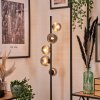 Remaisnil Lampa Stojąca - Szkło 10 cm, 12 cm Przydymiony, 5-punktowe